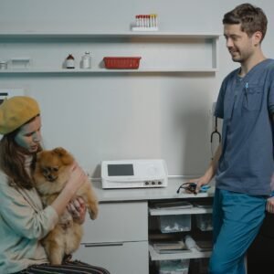 A Pomeranian Inside a Veterinary Clinic